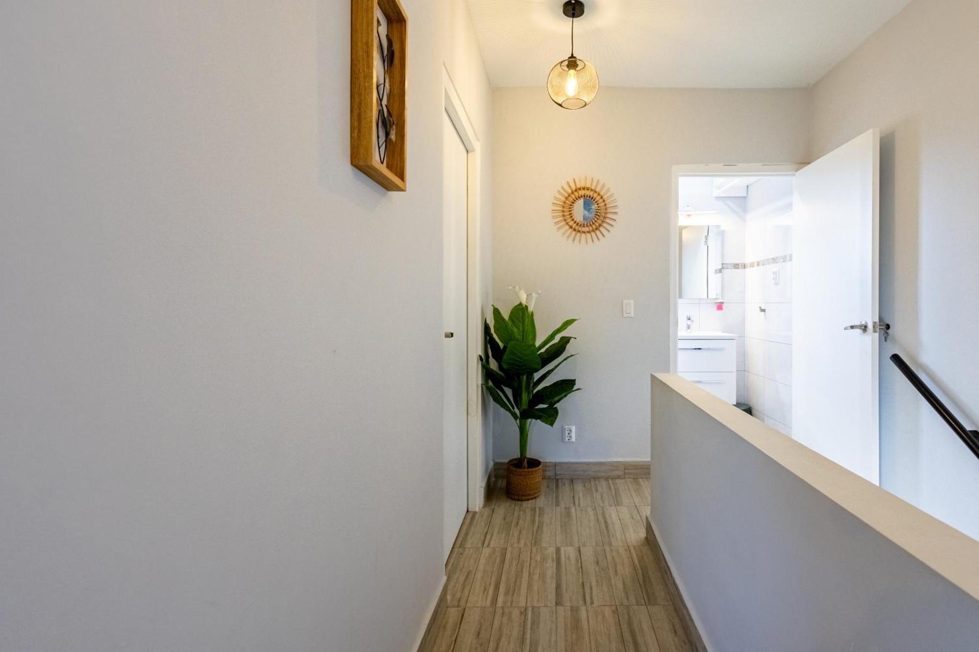 וילמסטאד Av Curacao - Centrally Located Spacious Apartment מראה חיצוני תמונה